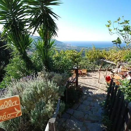 L'orangeraie Calvi Centre à 300m De La Et Du Port Parking Privé Appartamento Calvi (Corsica)